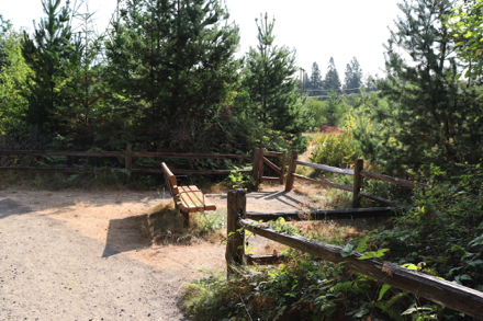 Bench off Tadpole Loop on natural surface - gate to educational area